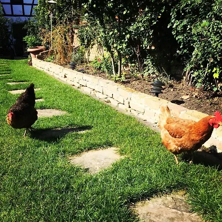 Bed & Breakfast La Grange Aux Coqs *