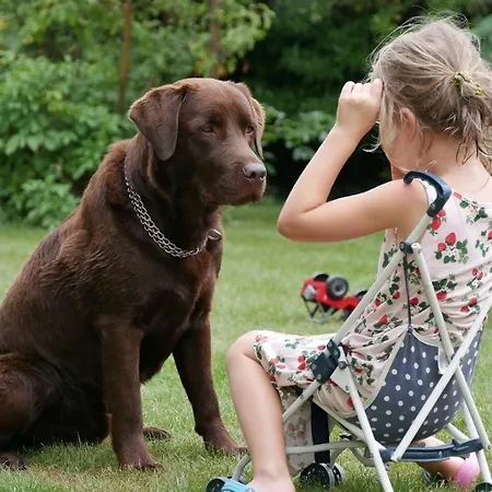 La Grange Aux Coqs 3*